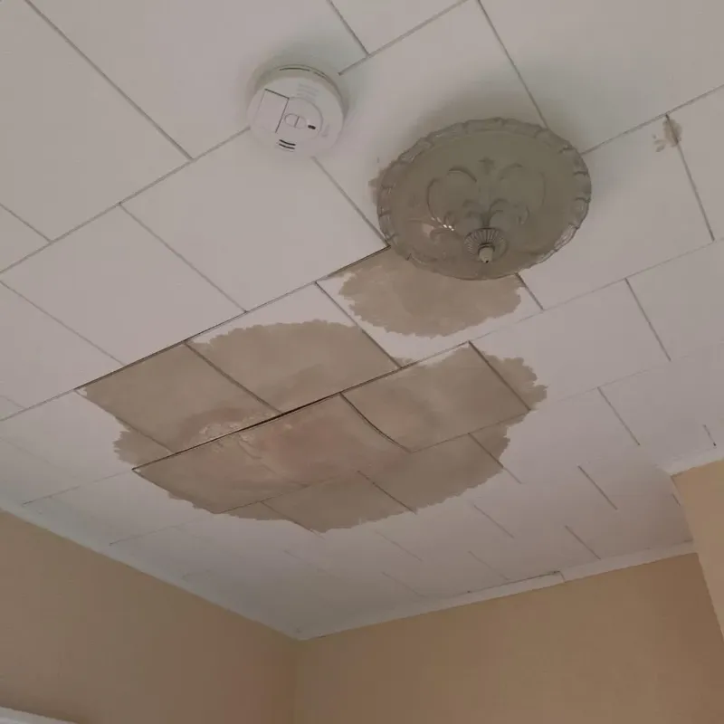 Ceiling Water Damage Repair in Oakdale, NY
